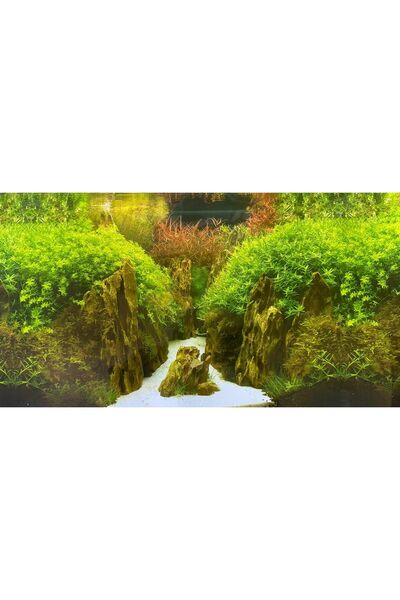 canlipetshop Arka Fon (Bitkili Akvaryum) 50 cm Uzunluk Yükseklik 60 Cm No:9082