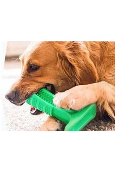 CMT Köpek Diş Fırçası Isırma Aparatı Küçük Boy