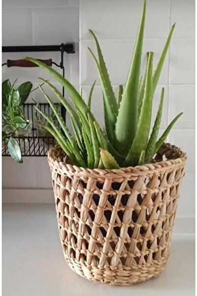 Aura design Hasır Saksı El Emeği Tasarım Dekoratif Saksı Ev Balkon Bahçe Dekorasyonu Modeli Çap 24 Cm