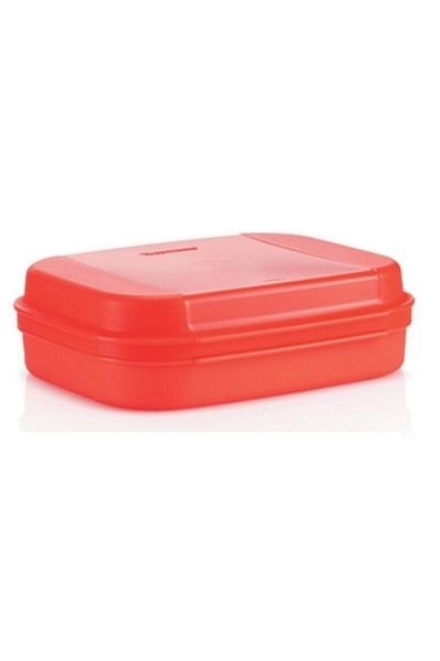 Tupperware Orange Cookie Box - Storage and Lunch Box Hsgl