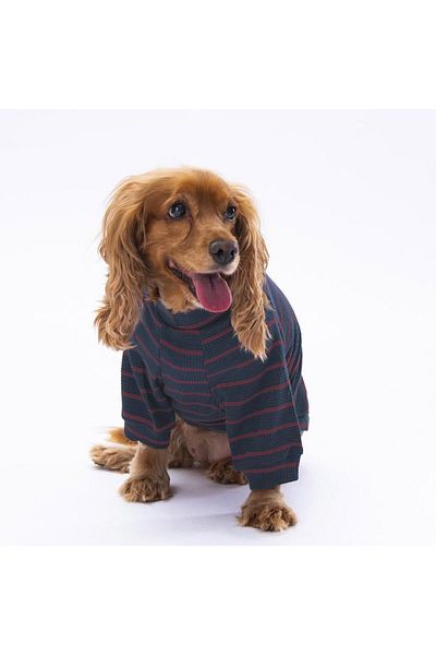Pettrend Anthracite Bobo Knitwear Sweat Cat Dog Sweat Cat Dog Outfit