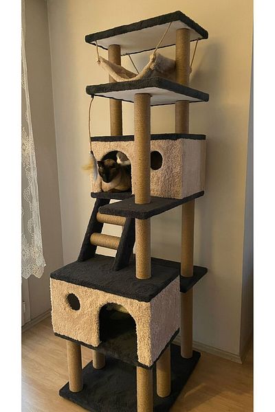 pethomealpi Large Cat Scratching House and Play Platform - Convenient Use