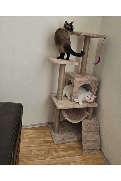 pethomealpi Cat Scratching House and Play Platform - Convenient Use