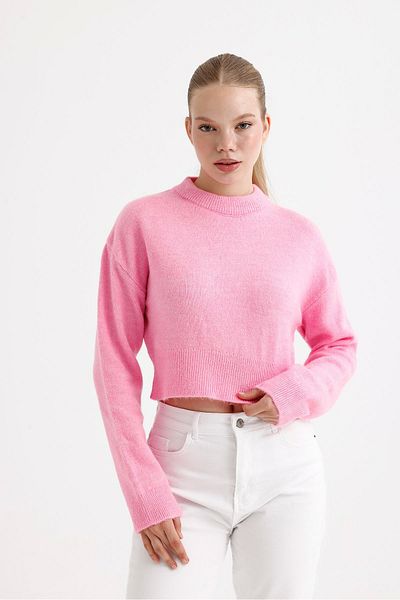 fujya Women's Crew Neck Raised Pink Knitwear Crop Sweater