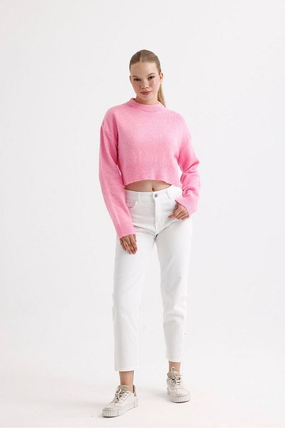 fujya Women's Crew Neck Raised Pink Knitwear Crop Sweater