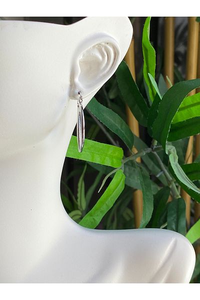 Lucios Stainless Steel Silver Colored Hoop Earrings