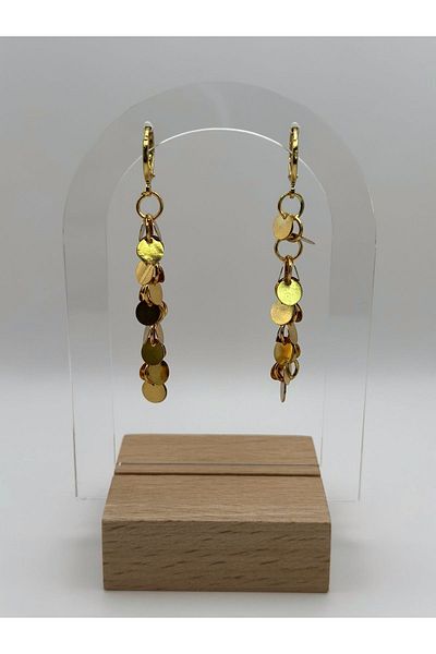 Arnes Jewelry Sequin Steel Earrings - Dangle Design