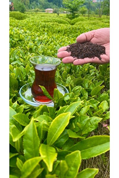 ÇAYTAŞÇAY 40 gr 5 Kg Diamond Demlik Poşet Çay