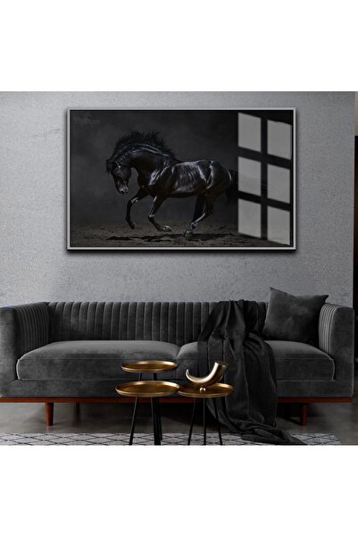 Harika bir ev HARİKABİREV|SİYAH AT TABLOSU|ÇERÇEVELİ CAM TABLO TEKLİ YATAY