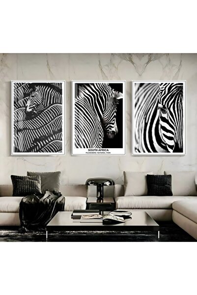 Harika bir ev Hari̇kabi̇rev | Black-White Most Stylish Zebra Combination | Fr...
