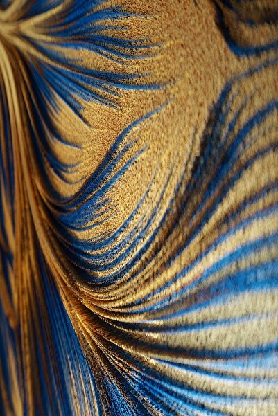 Harikabirev HARİKABİREV|LACİVERT-GOLD RENK SEVİLEN SOYUT KOMBİNİ 1|ÇERÇEVELİ TEMPERLİ CAM TABLO 3LÜ YATAY