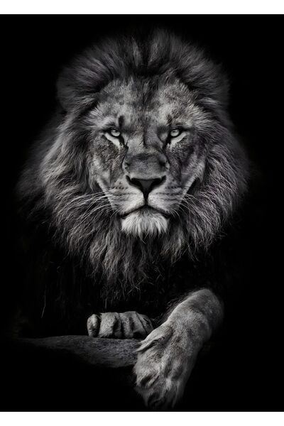 Harikabirev HARİKABİREV|ASLAN-KAPLAN-LEOPAR TABLOSU 05|ÇERÇEVELİ TEMPERLİ CAM TABLO 3LÜ DİKEY