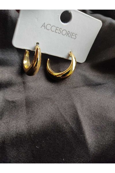stainless steell Women Plated Stainless Earrings