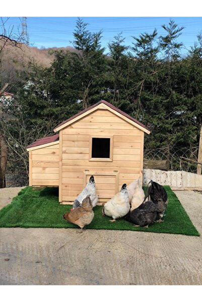 kemirgen market Ahşap Tavuk Kümes (10 Tavukluk)