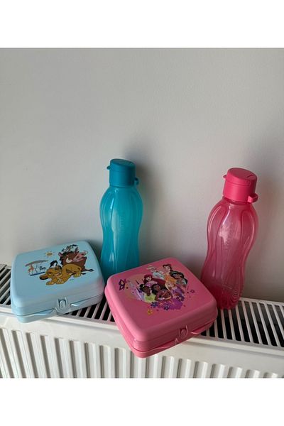 Tupperware 500 ml Capacity 2 Pieces Water Bottle and Sandwich Set