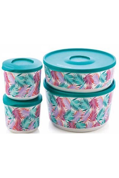 Tupperware Deluxe Storage Container Set of 4 Esc