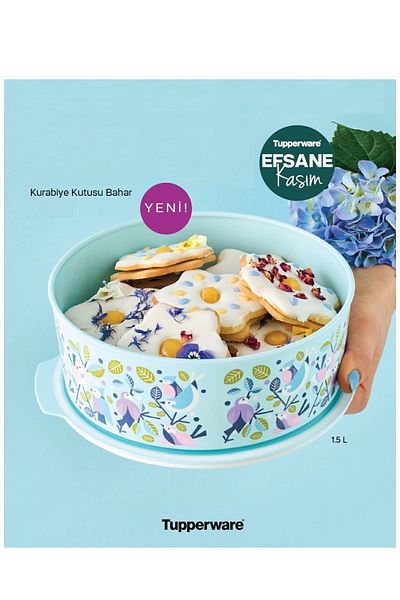 Tupperware Water Cookie box Spring 1.5 Lt water round