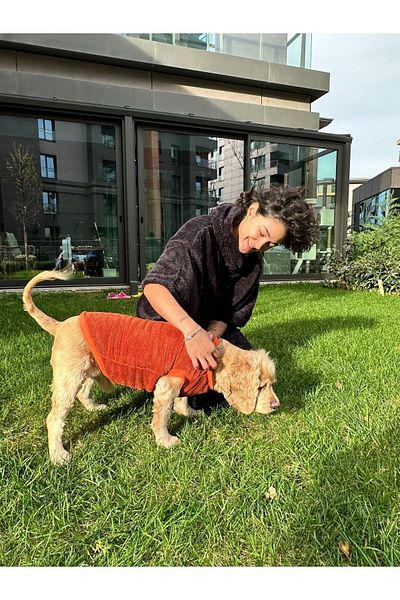 SOLENROSA Cat Dog Sweatshirt Outfit