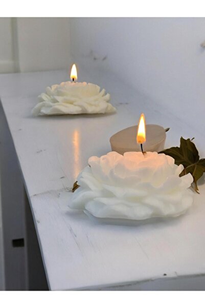 M&C Concept Dekoratif 2'li Şakayık  Soya Mum Set