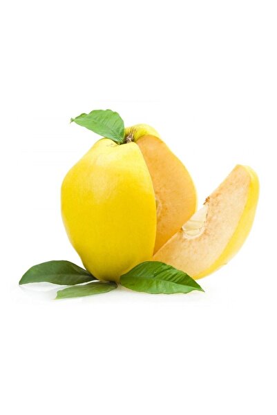 gurme trüf Taze Geyve Ayvası, Yemeklik Ayva, 1 Kg, Ekmek Ayvası, Reçellik Ayva, Kompostoluk Ayva, Ayva Tatlısı