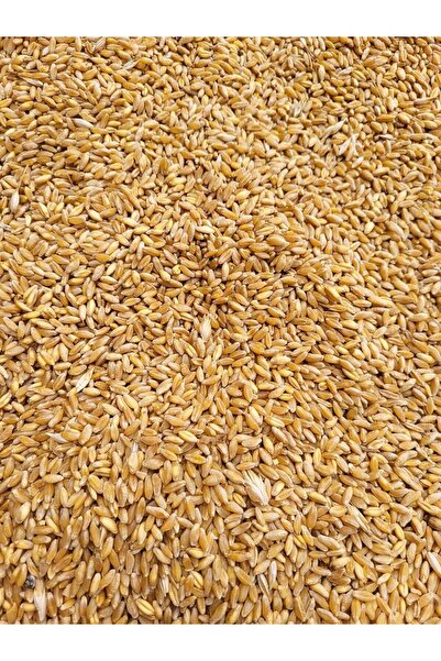 1 kg buğday