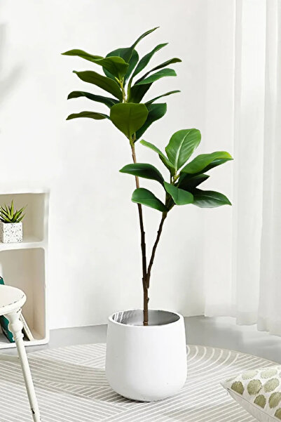 Yapay Çiçek Deposu Yapay Ağac Kauçuk Bitkisi 2 Dallı 105 cm (Saksısız)