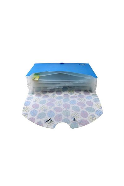 Globox Gusseted File 13 Sections