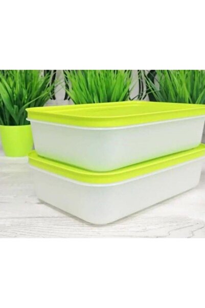 Tupperware 2 Adet 1 LT Alaska.