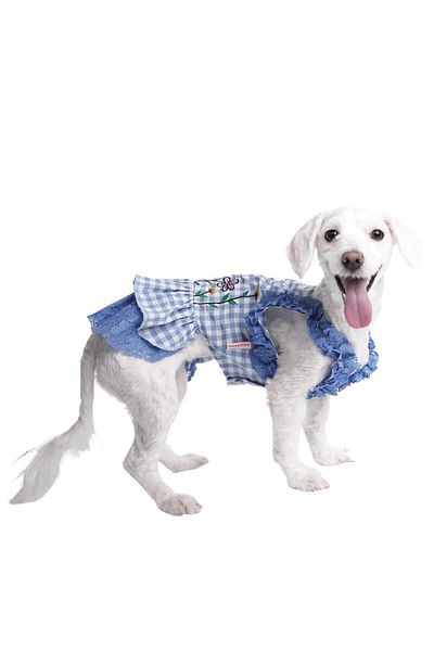 Pawstar Baby Blue Spring Dress Baby Blue Spring Dress Cat Dog Dress Cat Dog Outfit