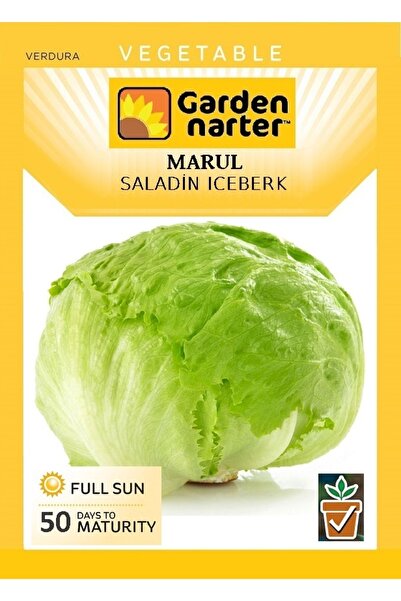 GARDEN NARTER Iceberg Marul Tohumu Doğal Organik Marul Tohumu Pakette 500 Tohum