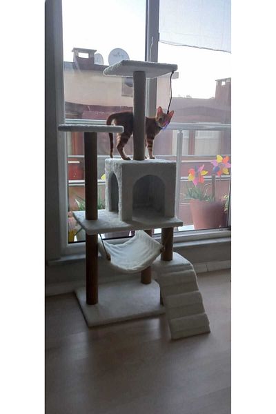 pethomealpi Cat Scratching House and Play Platform - Convenient Use