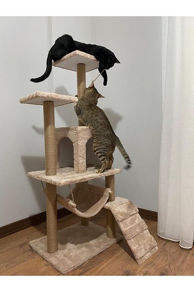 pethomealpi Cat Scratching House and Play Platform - Convenient Use