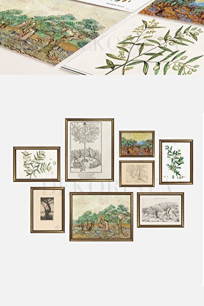 HOME DEKORİSTA Çerçeveli Vintage 8’li Tablo Seti, Zeytin Ağacı Resim, Zeytin ...