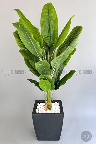 BİÇİÇEK Yapay Muz Ağacı 200 cm lux dış mekan saksıda