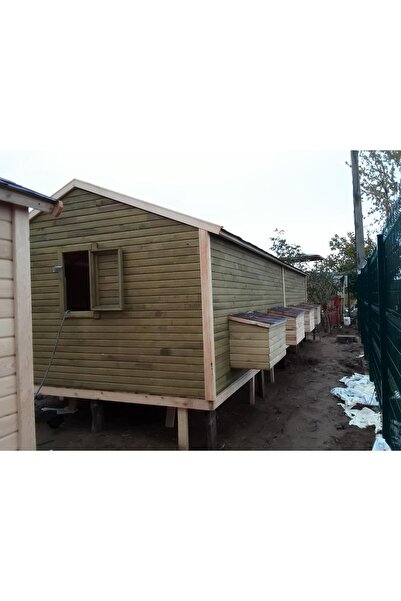 kemirgen market 250 Adet Kapasiteli Tavuk Kümesi