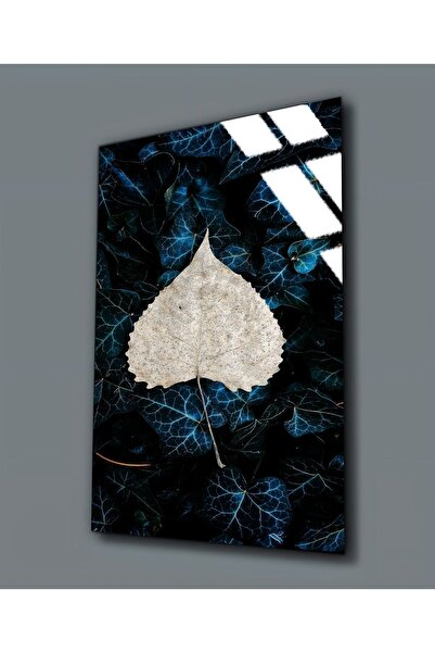 Harikabirev HARİKABİREV | TABLA DE FRUNZE ALBE DE STICLA INEREBILĂ (TEMPERATĂ). | TMTEKLİ