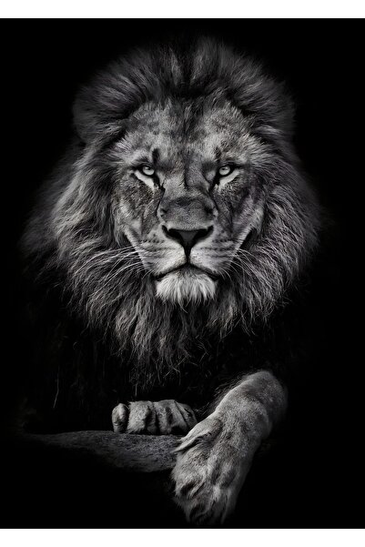 Harikabirev HARİKABİREV | TABLA LEU-TIGRU-LEOPARD 05 | TABLO DE STICLA TEMPLATA CU CADRU 3 PIESE VERTICALE