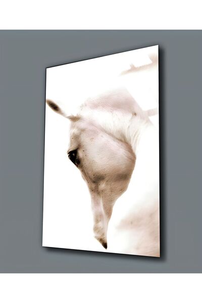 Harikabirev HARİKABİREV | PICTURĂ PE CAVAL ALB DE STICLA INESPRIMĂBILĂ (TEMPE...