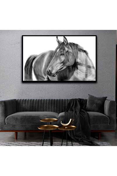 Harika bir ev HARİKABİREV | CAL NEGRU - TABLA CALURI NEGRE, ALBE ȘI PENTRU NE...