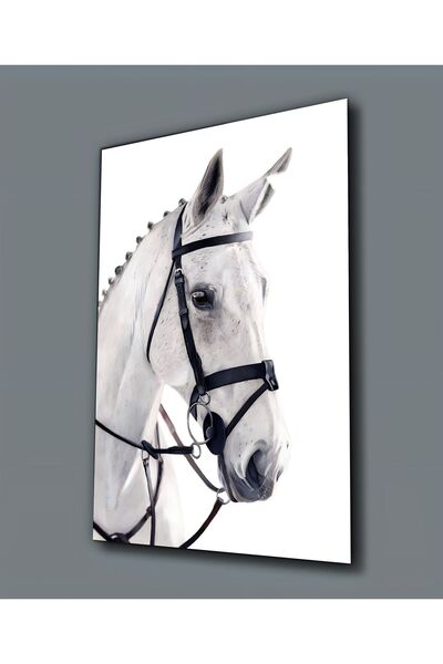 Harika bir ev HARİKABİREV | PICTURĂ PE CAVAL ALB DE STICLA INESPRIMĂBILĂ (TEM...