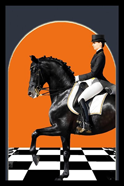 Harikabirev HARİKABİREV|SİYAH-TURUNCU KOMBİNİ SANTRAÇ ZEMİN KADIN JOKEY |ÇERÇEVELİ CAM TABLO 2Lİ DİKEY