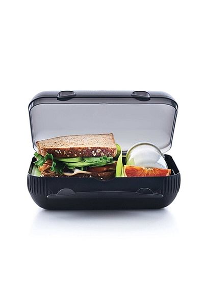Tupperware Oyster Feeding Bowl Black