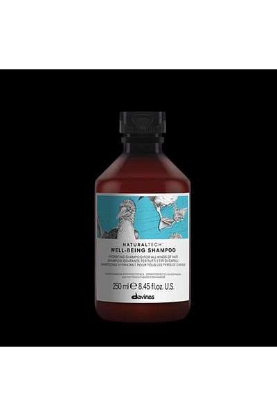 Davines شامبو ترطيب النحل من ويلبيينج - 250 مل EVAHAIRSALOON126
