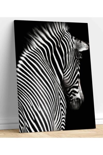 Şehzat Zebra Dekoratif Kanvas Tablo