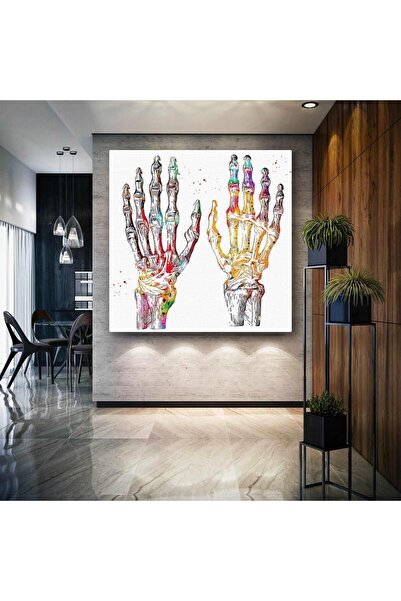 Şehzat Fizyoterapi El Anatomisi El ve Parmak Kemikleri Iskelet Filmi El Röntg...