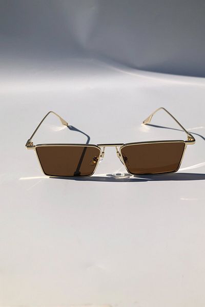DSN Daisy Unisex Brown Sunglasses