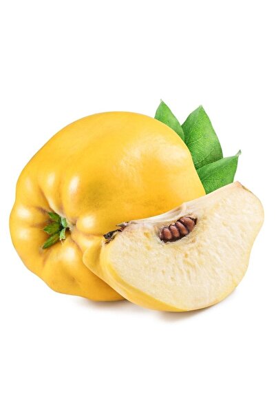 gurme trüf Taze Geyve Ayvası, Yemeklik Ayva, 1 Kg, Ekmek Ayvası, Reçellik Ayva, Kompostoluk Ayva, Ayva Tatlısı