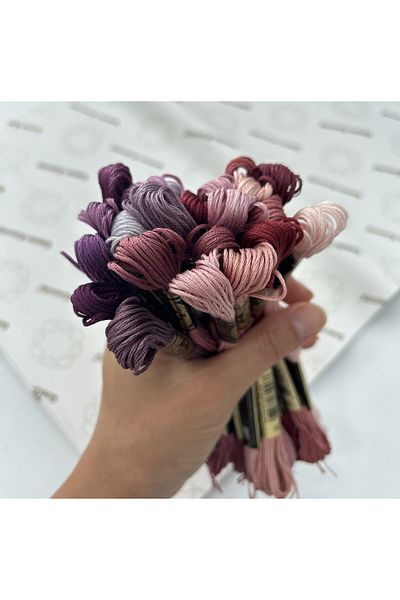 Dmc Muline Dried Rose Thread Set - 24 Pieces Embroidery Thread