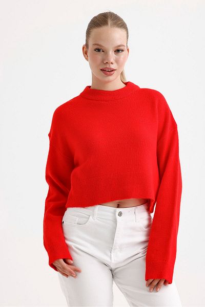 fujya Women's Crew Neck Raised Red Knitwear Crop Sweater