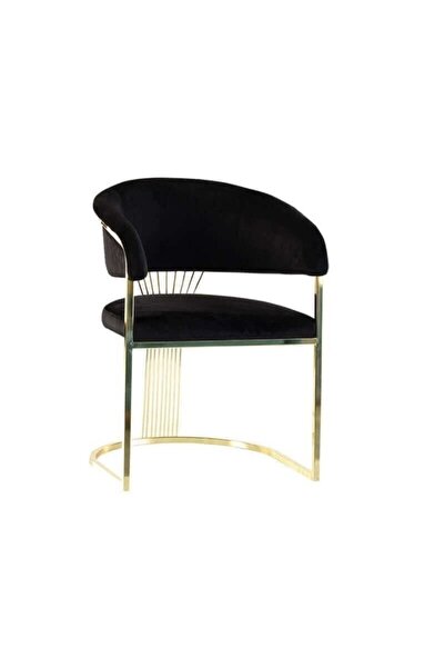 3D GRUP Lüx Ankara Modern Sandalye Cafe Sandalye Mutfak Salon Yemek Odası Sandalyesi
